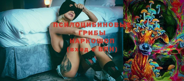 прущий лед Верея