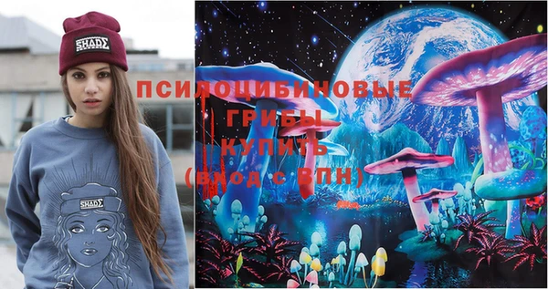прущий лед Верея